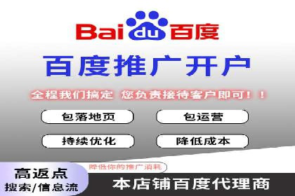 百度SEM广告投放的创意与执行：成功案例详解